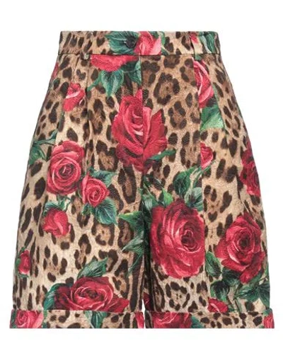 Dolce & Gabbana Woman Shorts & Bermuda Shorts Camel Size 6 Cotton, Silk, Viscose In Beige