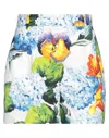Dolce & Gabbana Woman Shorts & Bermuda Shorts White Size 8 Cotton In White