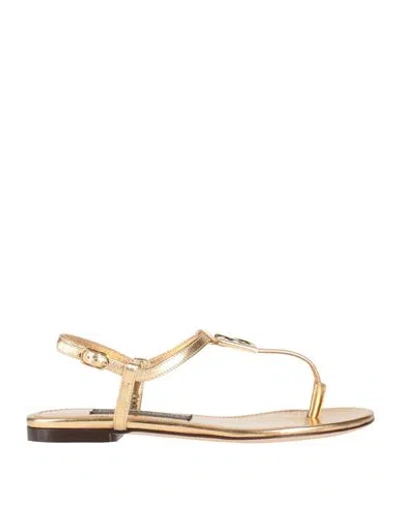 Dolce & Gabbana Woman Thong Sandal Gold Size 6 Lambskin