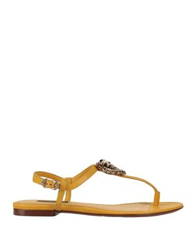 Dolce & Gabbana Woman Thong Sandal Ocher Size 9.5 Lambskin In Yellow