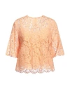 Dolce & Gabbana Woman Top Orange Size 8 Cotton, Viscose, Polyamide In Orange