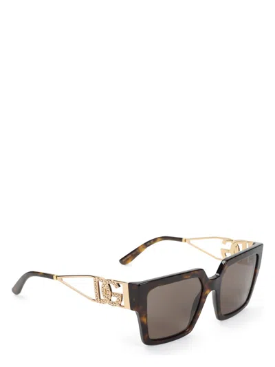 DOLCE & GABBANA WOMEN'S ACETATE SUNGLASSES
