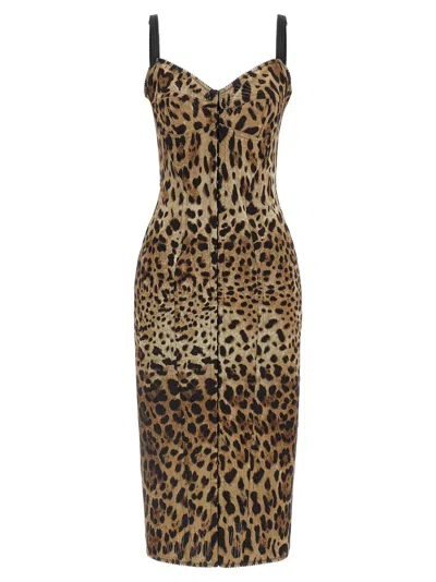 Dolce & Gabbana Women's Animal-print Corset Dress In Brown