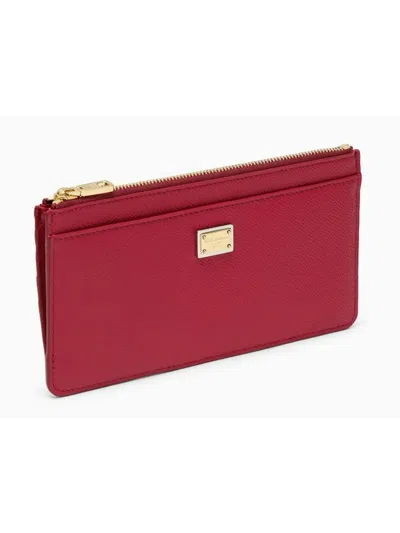 Dolce & Gabbana Women's Cardholder Pouch In Mixed Colours