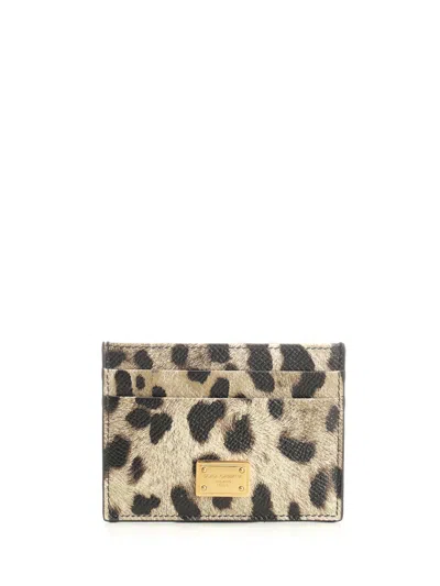 Dolce & Gabbana Women Dauphine Card Holder In Multi