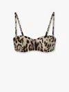 Dolce & Gabbana Lace Balconette Bra In Multicolor