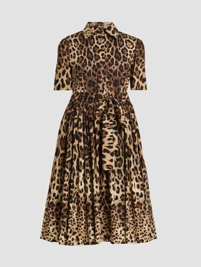 Dolce & Gabbana Women's Leopard Cotton Poplin Midi Shirtdress In Leo New