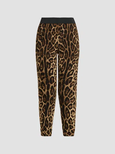 Dolce & Gabbana Women's Leopard Cropped Stretch Leggings In Leo New