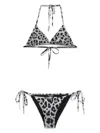 Dolce & Gabbana Leopard-print Bikini In Grey
