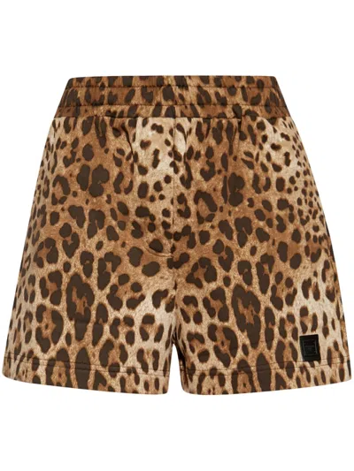 Dolce & Gabbana Women's Leopard Print Cotton Mini Shorts With Elastic Waist And Side Slit Pockets In Marrone