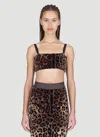 Dolce & Gabbana Cropped Leopard-jacquard Cotton-blend Chenille Top