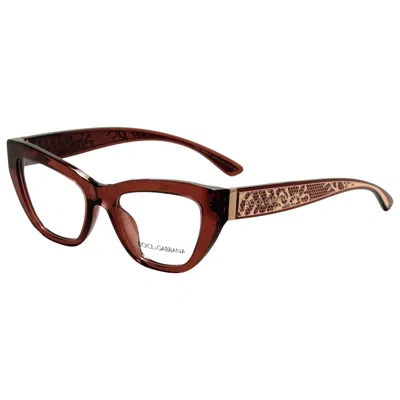 Dolce & Gabbana Women's Opticals In Brown