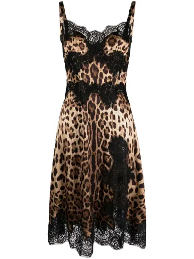 Dolce & Gabbana Women Printed Midi Dress In Brown