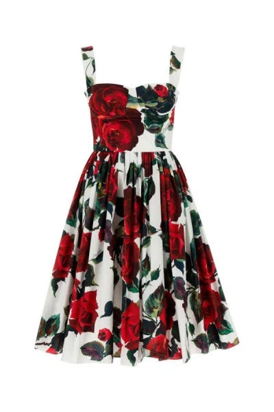 Dolce & Gabbana Rose Printed Poplin Midi Dress In Multicolor
