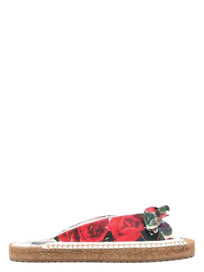 DOLCE & GABBANA WOMEN'S PRINTED SLIDES