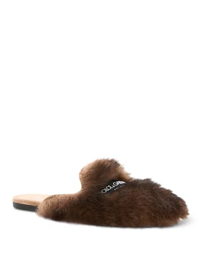 Dolce & Gabbana Young Princess Shearling Suede Mule Slipper In Brown