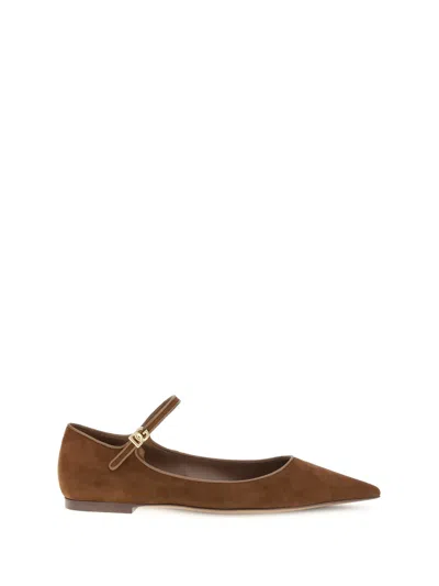 Dolce & Gabbana Women Suede And Nappa Leather Ballerinas In Brown