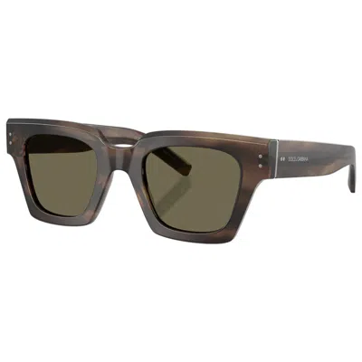 Dolce & Gabbana Women's Sunglasses In Brown