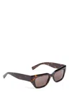 Dolce & Gabbana Women's Sunglasses In Brown