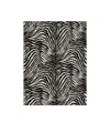 Dolce & Gabbana Wool And Silk Blanket In Black