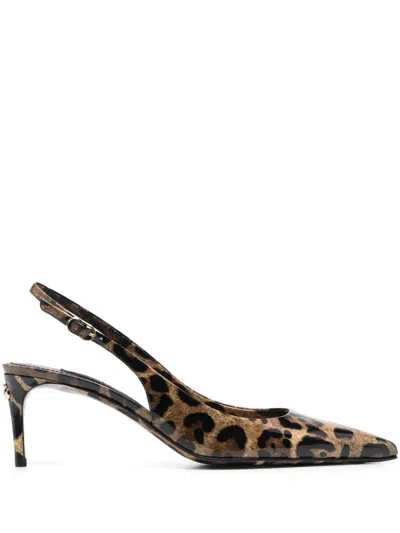 Dolce & Gabbana Animalier Brown Calf Leather With Heel In Multi