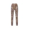 Dolce & Gabbana X Kim Leopard Pants In Brown