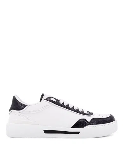 DOLCE & GABBANA NEW ROMA