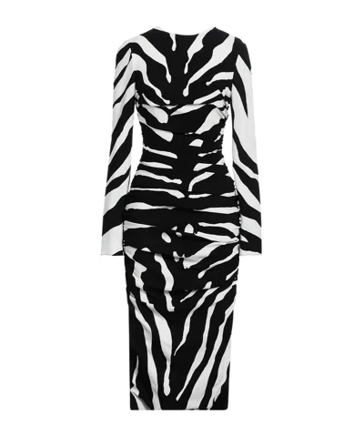 Dolce & Gabbana Zebra Print Fitted Dress In Black