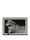 Dolce & Gabbana Zebra-print Set Of Thirty-six Placemats In Black