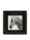 Dolce & Gabbana Zebra-print Set Of Three Trays In Black