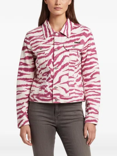 Pre-owned Dolce & Gabbana Zebra-print Denim Jacket In White