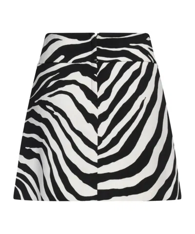 Dolce & Gabbana Zebra-print Flared Skirt In Multi