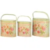 Dolce Mela French Country Planters Vintage Metal Decorative Containers & Flower Pots (set Of 3)