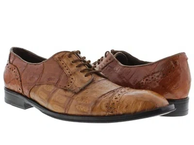 Pre-owned Dolce Pelle Mens Cognac Crocodile Dress Shoes Exotic Skin Genuine Leather Western Oxfords In Brown
