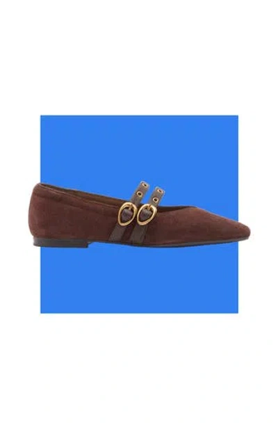Dolce Vita Alenia Grommet Mary Jane Flat In Brown