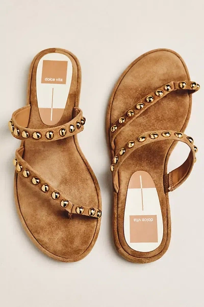Dolce Vita Amary Studded Toe-loop Sandals In Brown
