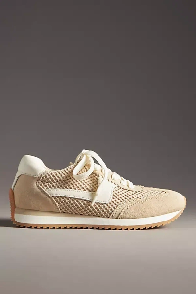 Dolce Vita B. Ntcd Mesh Sneakers In Green