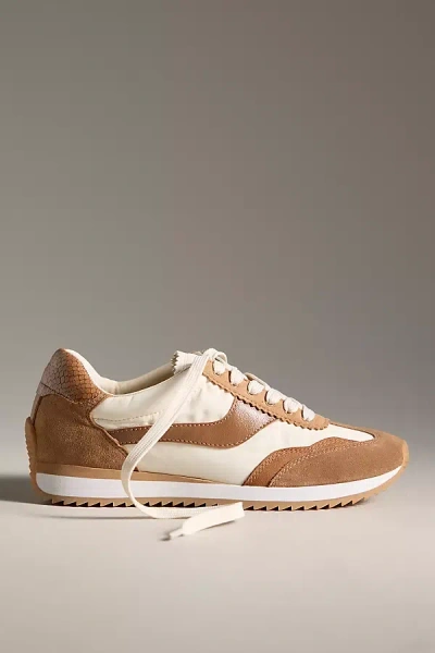 Dolce Vita B. Ntcd Sneakers