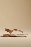 Dolce Vita Bacey Sandal In Brown