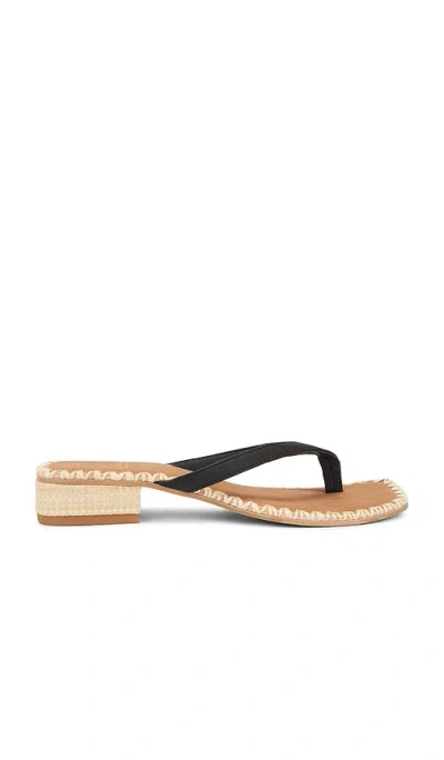Dolce Vita Barty Sandal In Black Stella