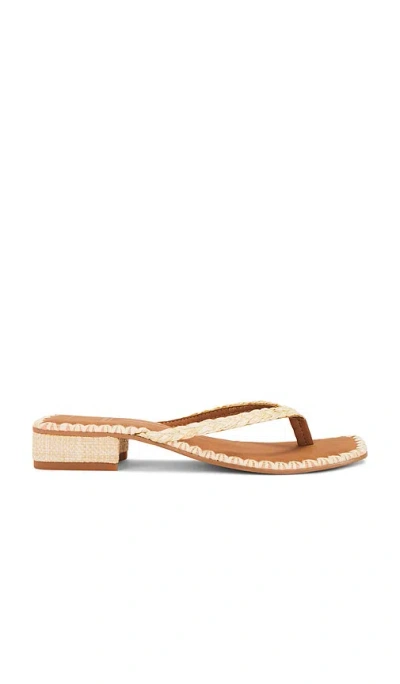 Dolce Vita Barty Sandal In Brown