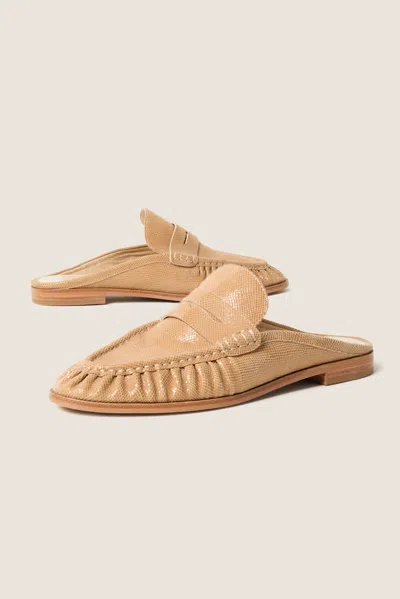 Dolce Vita Betzy Loafer Mule In Brown