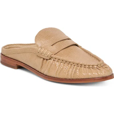 Dolce Vita Betzy Mule In Brown
