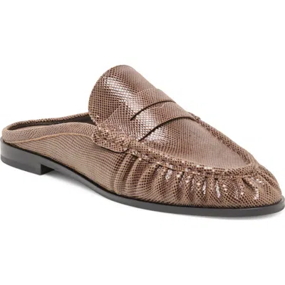 Dolce Vita Betzy Mule In Brown