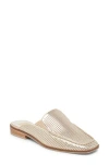 Dolce Vita Brevyn Perforated Mule In Bone Perforated Suede