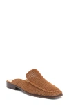 Dolce Vita Brevyn Perforated Mule In Pecan Perforated Suede