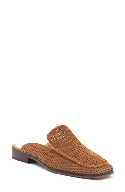 Dolce Vita Brevyn Perforated Mule In Pecan Perforated Suede