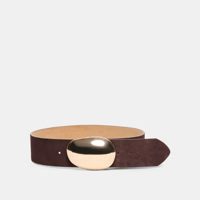 Dolce Vita Bubble Buckle Belt In Mahogany Gold Size Xl/2xl By  In Burgundy