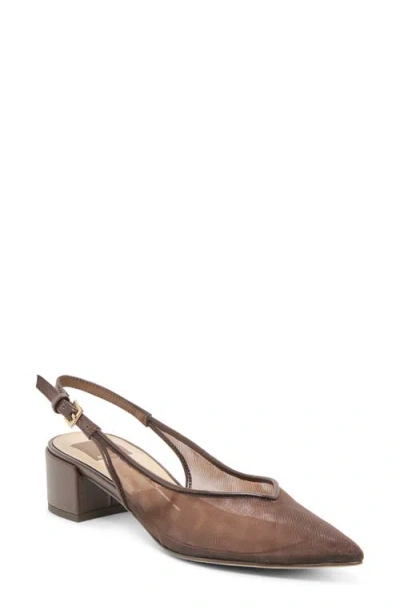 Dolce Vita Cenna Pointed Toe Slingback Pump In Brown