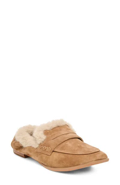 Dolce Vita Cloey Plush Faux Fur Lined Loafer In Brown